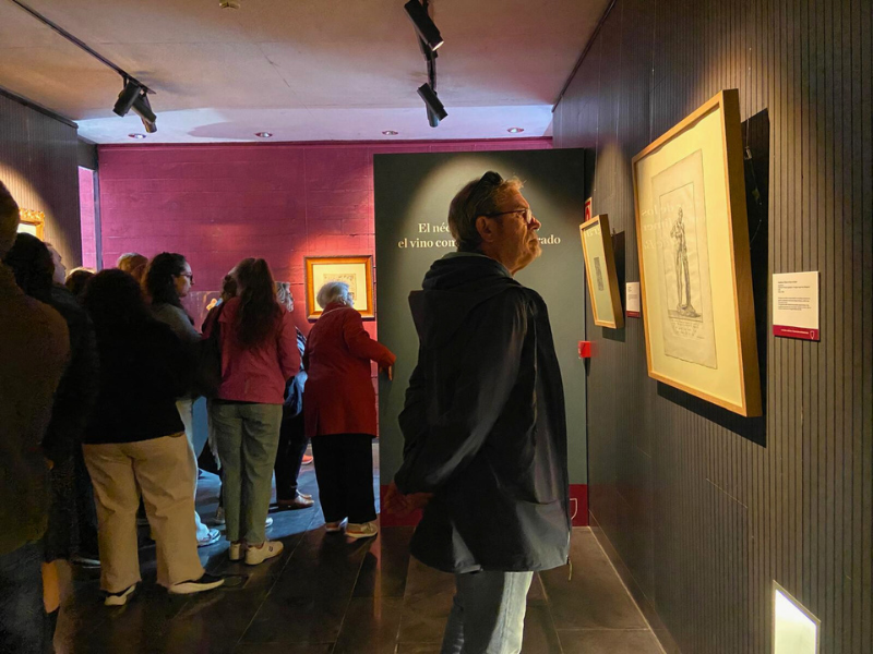Centro de Cultura del Rioja_actividades 5_Magmacultura